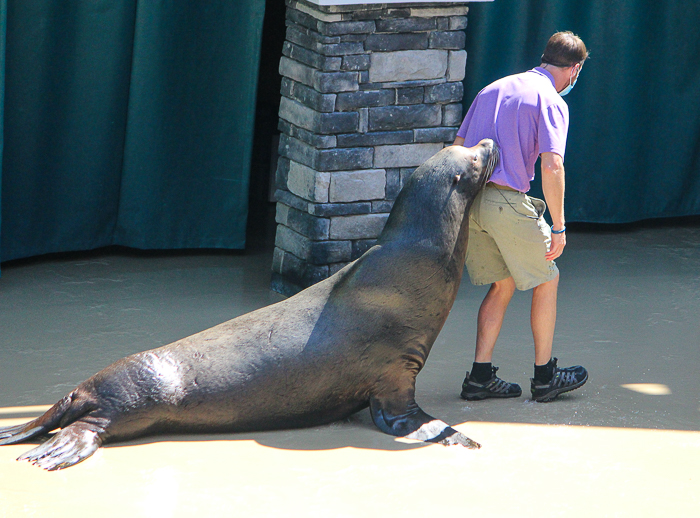 SeaWorld Orlando, Orlando, Florida