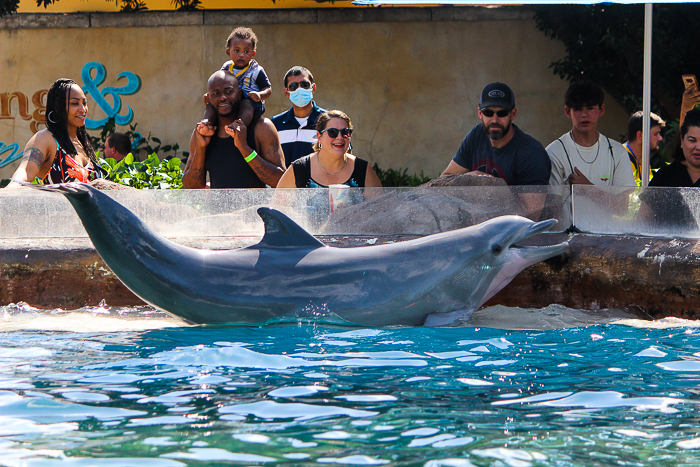 SeaWorld Orlando, Orlando, Florida