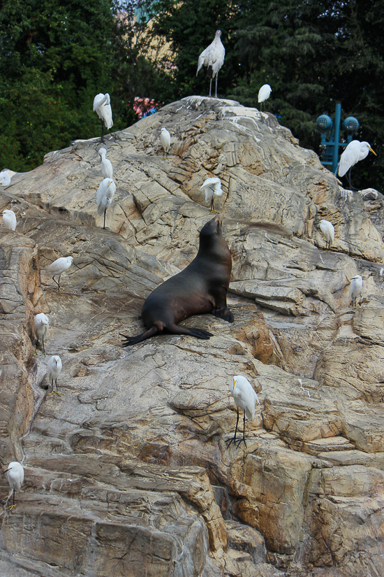 SeaWorld Orlando, Orlando, Florida