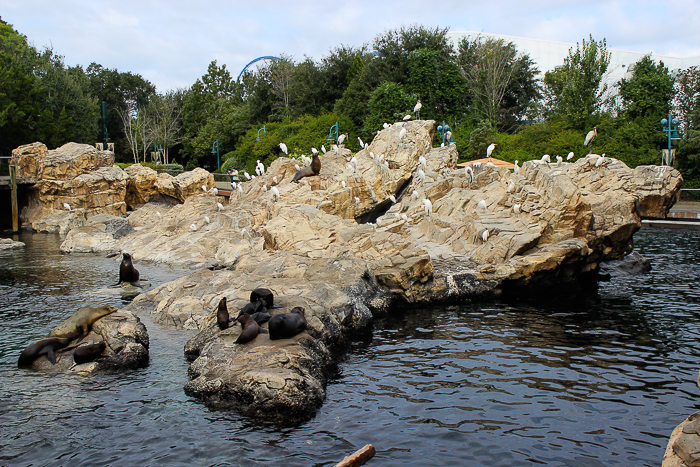 The Pacific Point Preserve at SeaWorld Orlando, Orlando, Florida