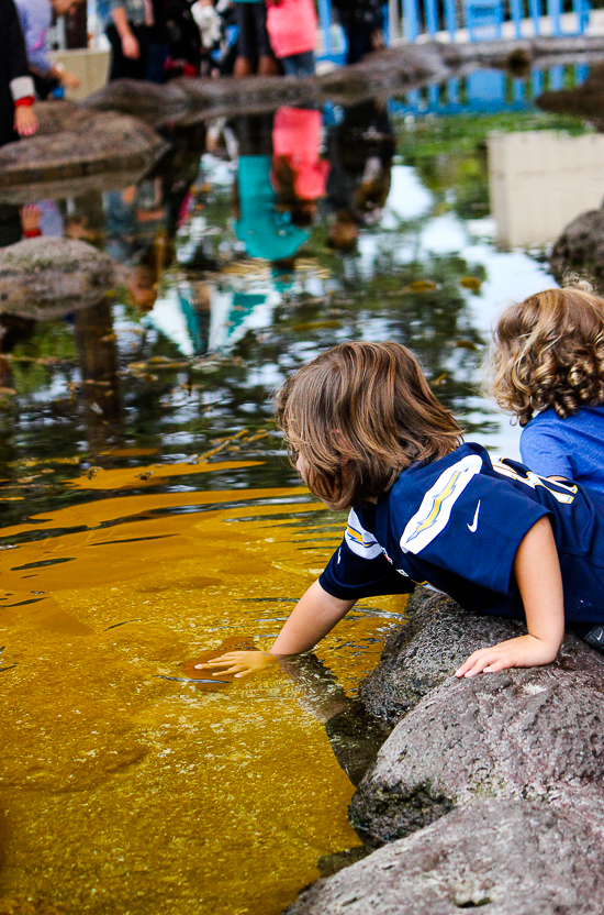 SeaWorld San Diego, San Diego, California