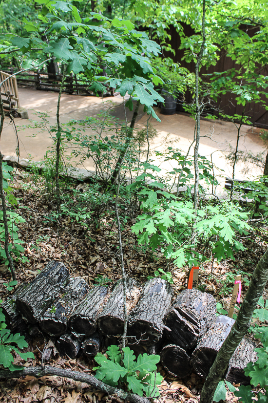 Silver Dollar City, Branson, Missouri