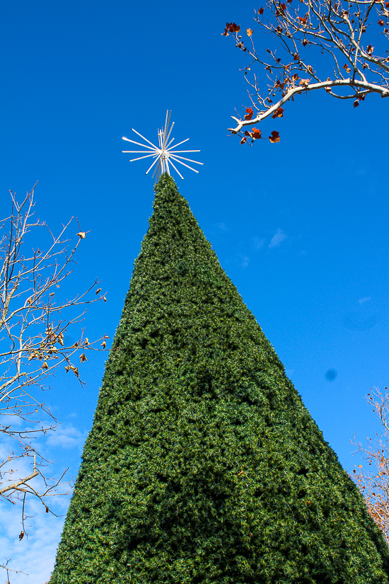 Coaster Christmas 2023 at Silver Dollar City, Branson, Missouri