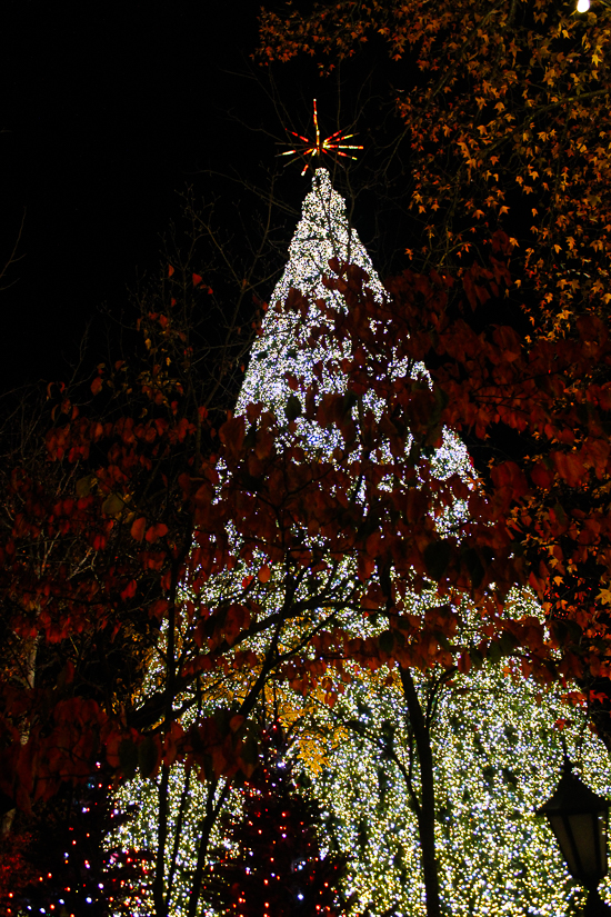 Coaster Christmas at Silver Dollar City, Branson, Missouri