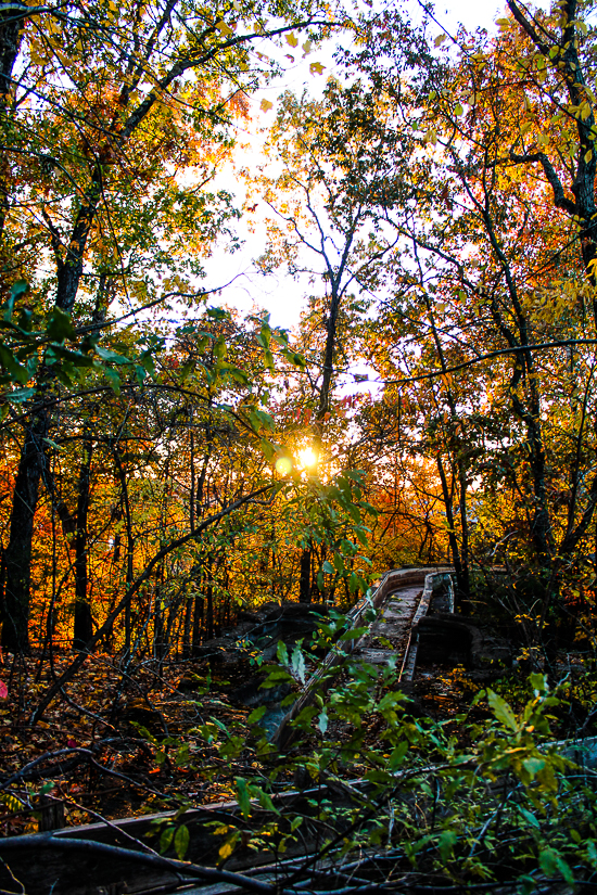 American Coaster Enthusiasts Coaster Christmas 2025 at Silver Dollar City, Branson, Missouri