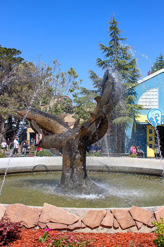 Six Flags Discovery Kingdom, Vallejo, California