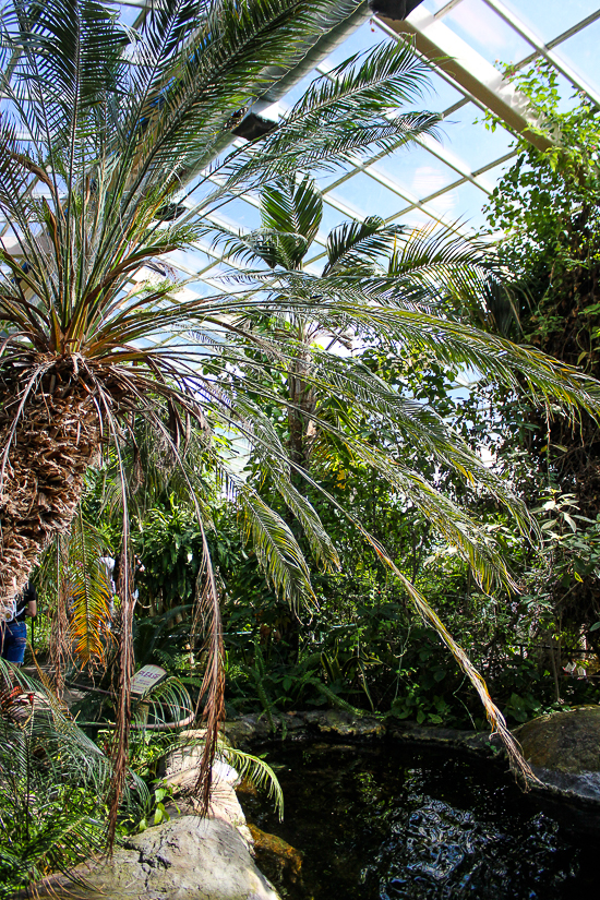 The Butterfly House at Six Flags Discovery Kingdom, Vallejo, California