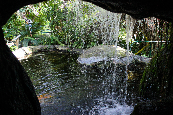 The Butterfly House at Six Flags Discovery Kingdom, Vallejo, California