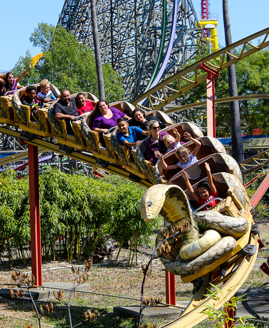 The Cobra Roller Coaster at Six Flags Discovery Kingdom, Vallejo, California