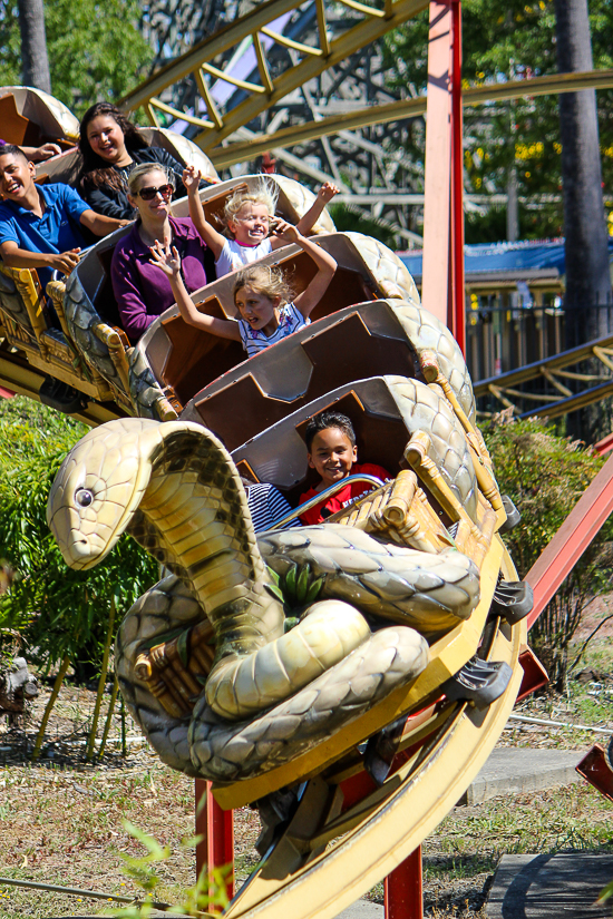 The Cobra Roller Coaster at Six Flags Discovery Kingdom, Vallejo, California