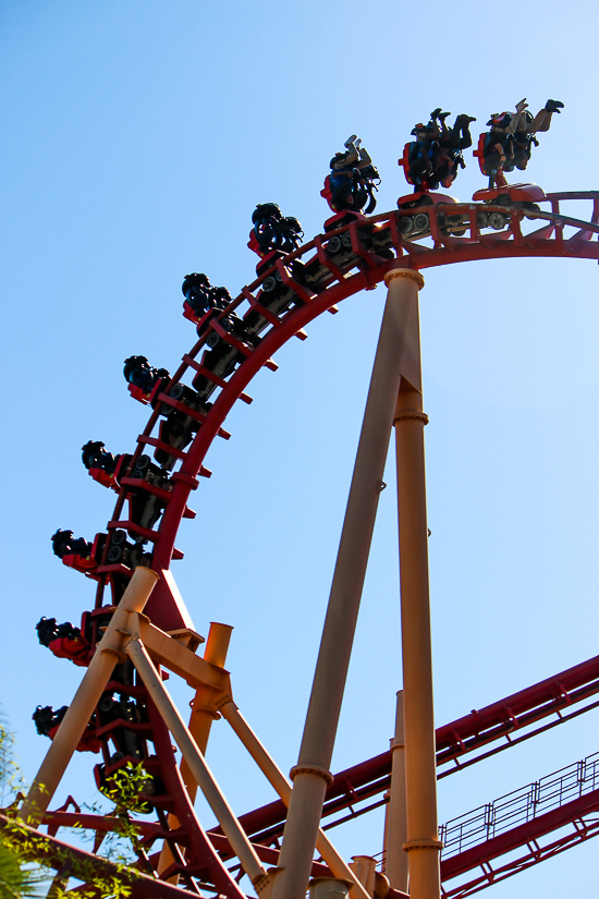 The Kong Roller Coaster at Six Flags Discovery Kingdom, Vallejo, California