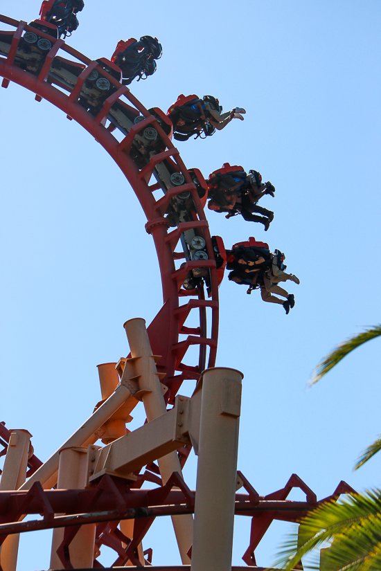 The Kong Roller Coaster at Six Flags Discovery Kingdom, Vallejo, California