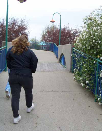 The "Bridge" @ Six Flags Kentucky Kingdom