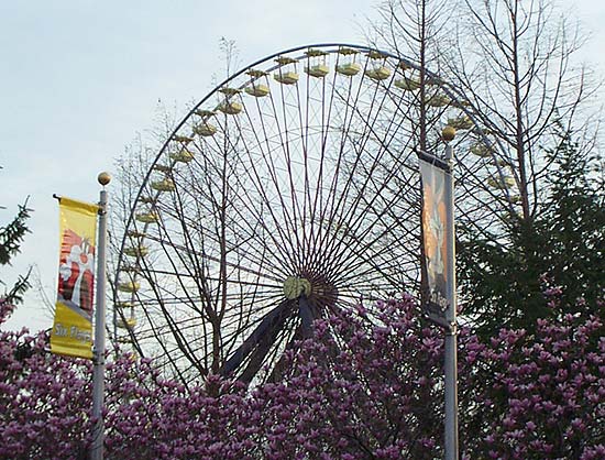 The Giant Wheel at Six Flags Kentucky Kingdom