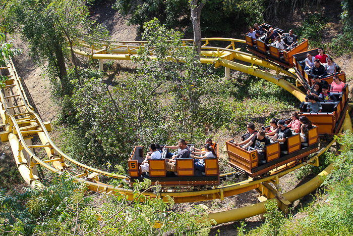 The Gold Rusher Rollercoaster - The American Coaster Enthusiasts Coaster Con 42 at Six Flags Magic Mountain in Valencia, California