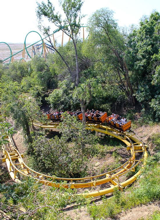 The Gold Rusher Rollercoaster - American Coaster Enthusiasts Coaster Con 42 at Six Flags Magic Mountain in Valencia, California