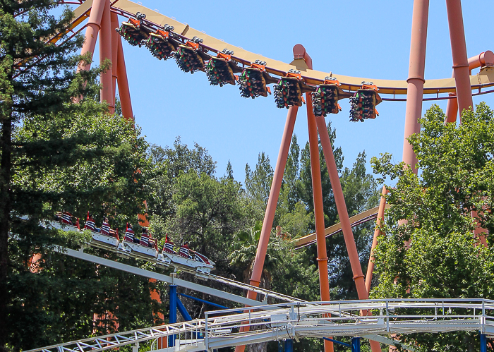 The Great American Revolution Rollercoaster - The American Coaster Enthusiasts Coaster Con 42 at Six Flags Magic Mountain in Valencia, California