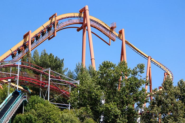 The Tatsu Roller coaster - The American Coaster Enthusiasts Coaster Con 42 at Six Flags Magic Mountain in Valencia, California