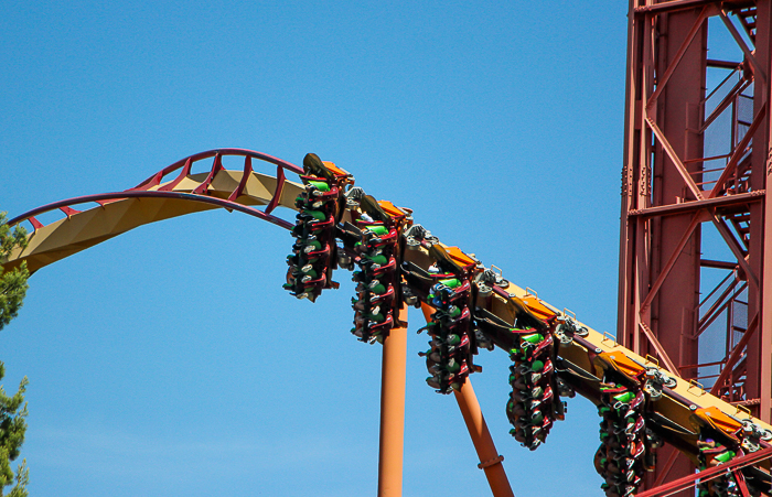 The Tatsu Roller coaster - The American Coaster Enthusiasts Coaster Con 42 at Six Flags Magic Mountain in Valencia, California