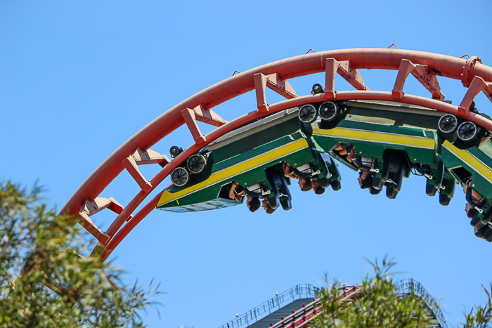 The Viper Rollercoaster - The American Coaster Enthusiasts Coaster Con 42 at Six Flags Magic Mountain in Valencia, California