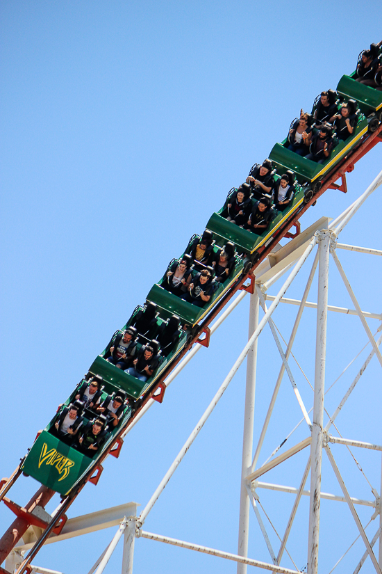 The Viper Rollercoaster - The American Coaster Enthusiasts Coaster Con 42 at Six Flags Magic Mountain in Valencia, California