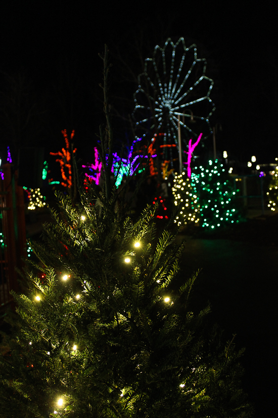 Holiday In The Park Christmas celebration at Six Flags St. Louis, Eureka, Missouri