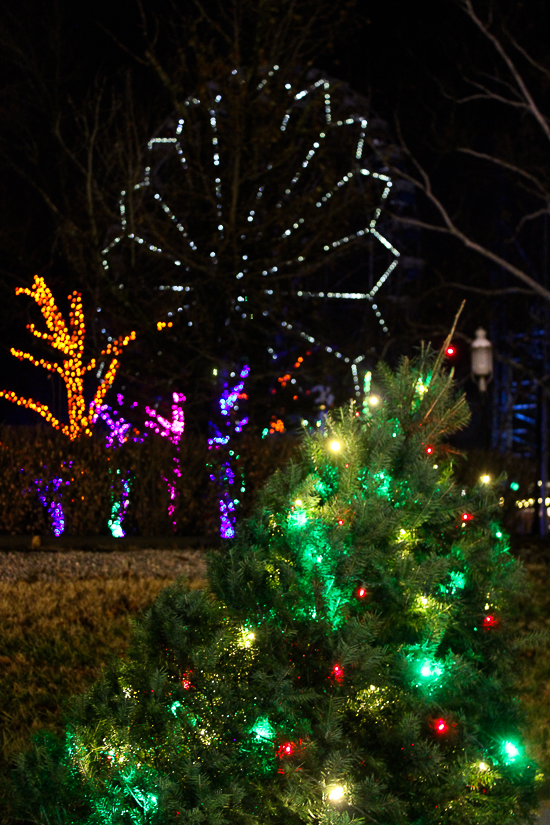 Holiday In The Park 2019 at Six Flags St. Louis, Eureka, Missouri