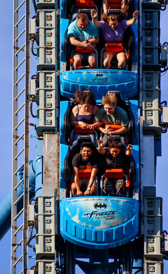 Mr. Freeze: Reverse Blast at Six Flags St. Louis/Mid America Park By Enchanted Parks, Eureka, Missouri