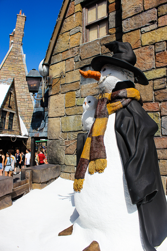 The Wizzarding World of Harry Potter:  Hogsmeade at Universal's Islands of Adventure, Orlando, Florida