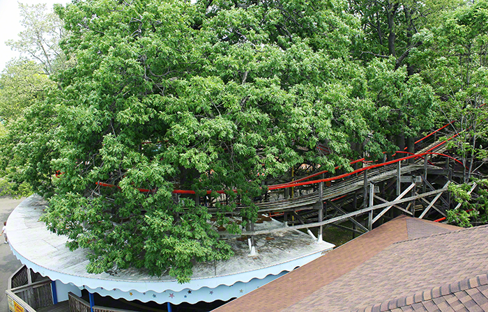 The Comet Roller Coaster at Waldameer Amusement Park, Erie, Pennsylvania