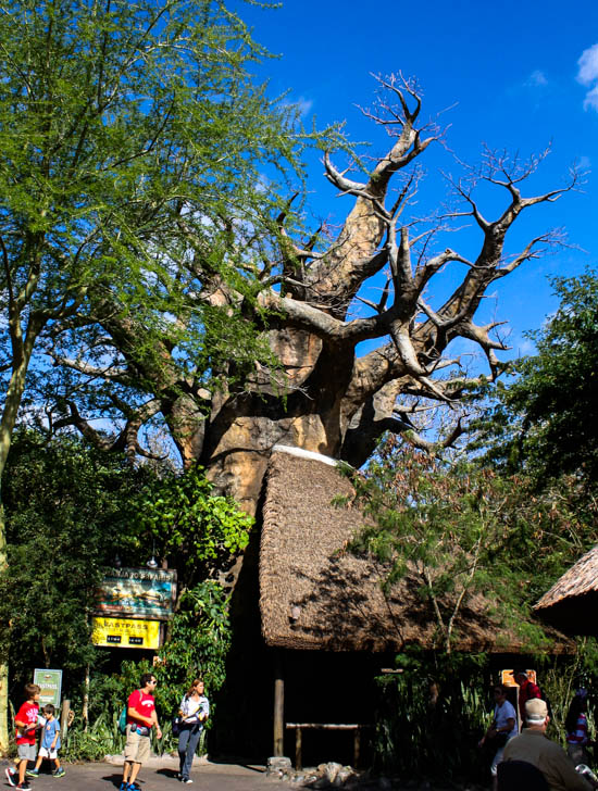 Walt Disney World - Disney's Animal Kingdom, Lake Buena Vista, Florida