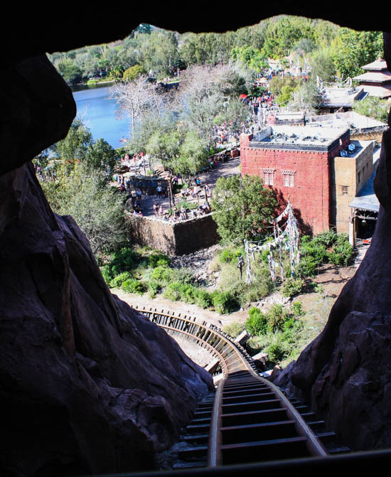 The Expedition Everest Roller Coaster at Walt Disney World - Disney's Animal Kingdom, Lake Buena Vista, Florida