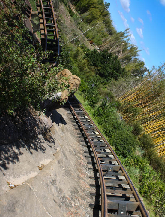 The Expedition Everest Roller Coaster at Walt Disney World - Disney's Animal Kingdom, Lake Buena Vista, Florida