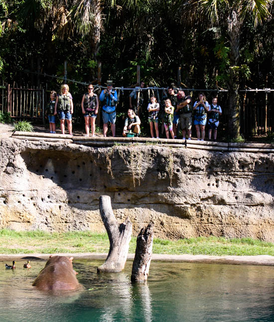 The Kilimanjaro Safaris at Walt Disney World - Disney's Animal Kingdom, Lake Buena Vista, Florida