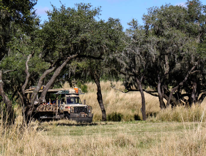 The Kilimanjaro Safaris at Walt Disney World - Disney's Animal Kingdom, Lake Buena Vista, Florida