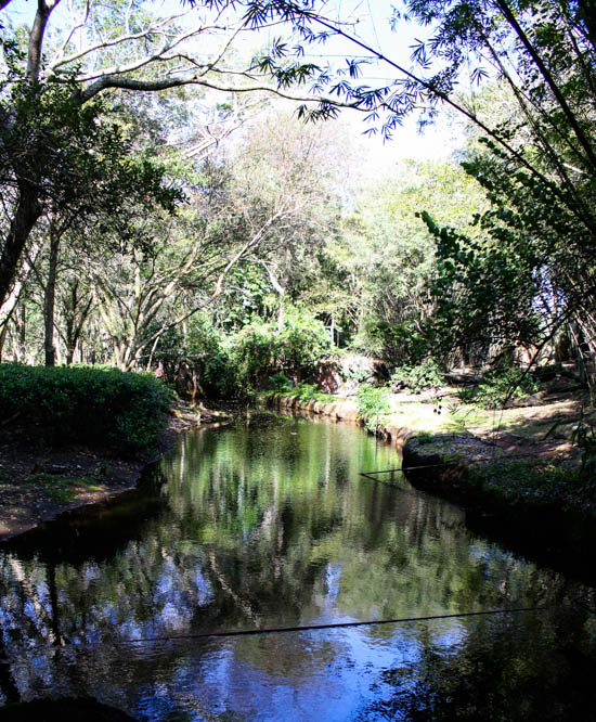 The Kilimanjaro Safaris at Walt Disney World - Disney's Animal Kingdom, Lake Buena Vista, Florida