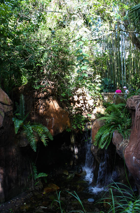 The Maharajah Jungle Trek at Walt Disney World - Disney's Animal Kingdom, Lake Buena Vista, Florida