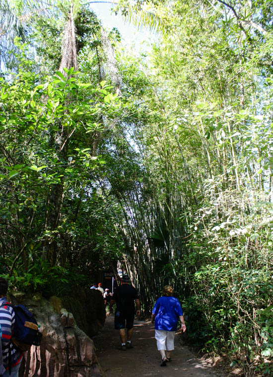 The Maharajah Jungle Trek at Walt Disney World - Disney's Animal Kingdom, Lake Buena Vista, Florida