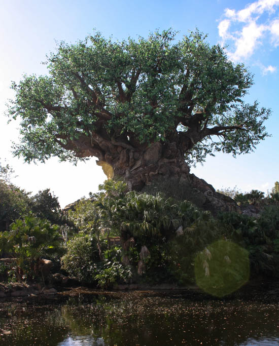 The Tree Of Life at Walt Disney World - Disney's Animal Kingdom, Lake Buena Vista, Florida