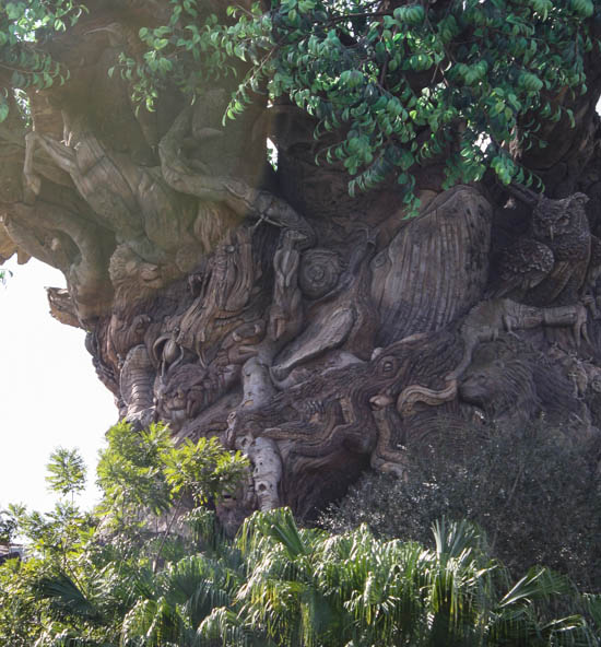 The Tree Of Life at Walt Disney World - Disney's Animal Kingdom, Lake Buena Vista, Florida