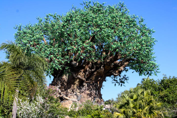 The Tree Of Life at Walt Disney World - Disney's Animal Kingdom, Lake Buena Vista, Florida