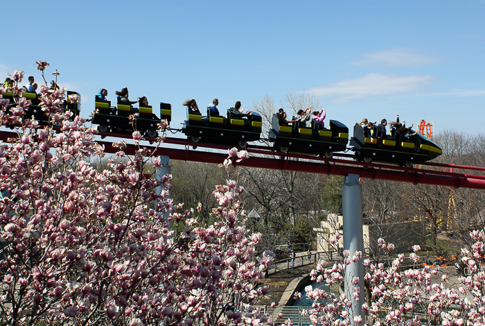 The Mamba Roller Coaster at Worlds of Fun, Kansas City, Missouri