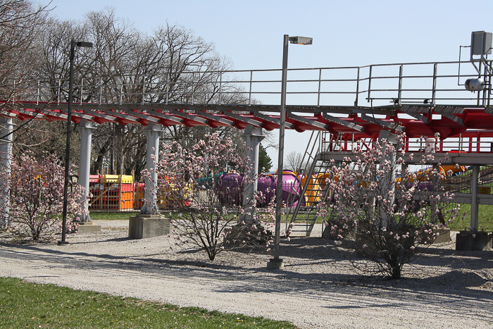 Mamba at Worlds of Fun, Kansas City, Missouri