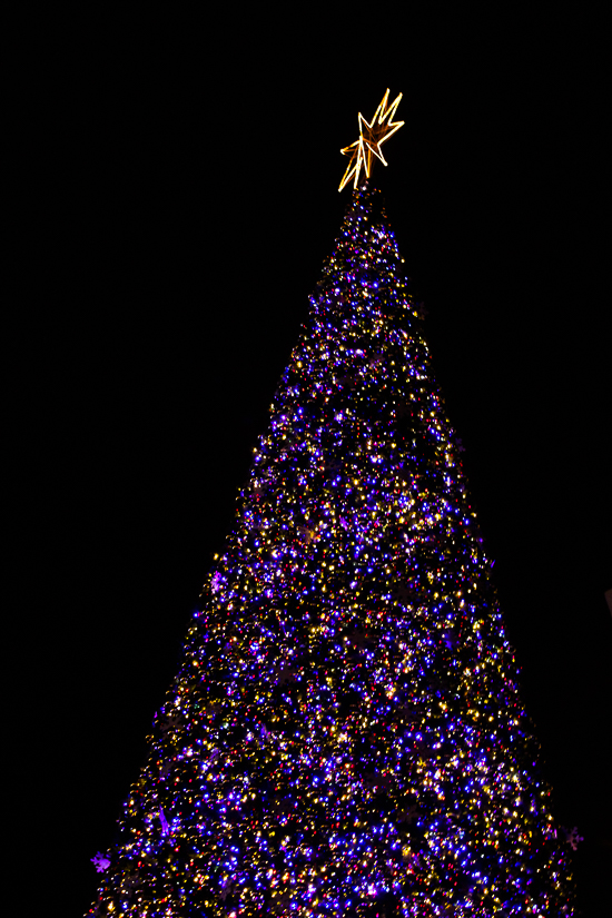 Winterfest at Worlds of Fun, Kansas City, Missouri