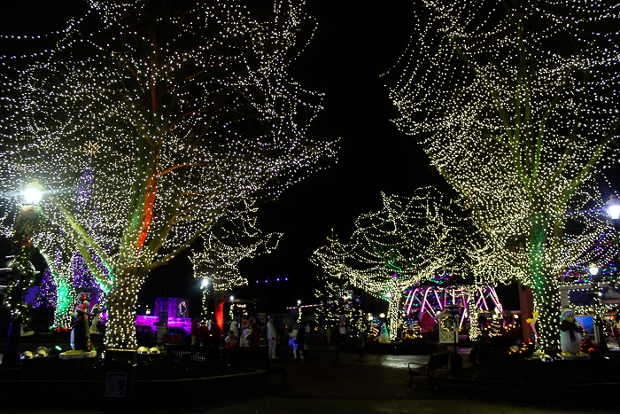 Winterfest at Worlds of Fun, Kansas City, Missouri