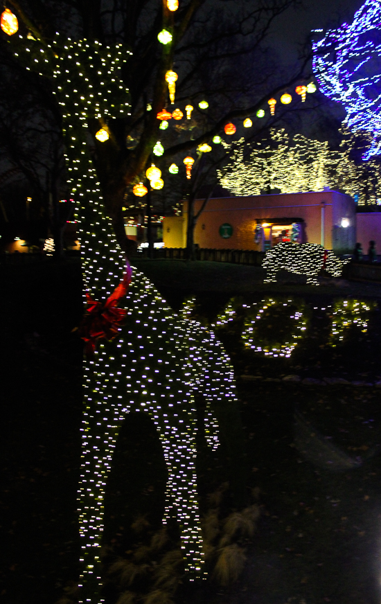 Winterfest at Worlds of Fun, Kansas City, Missouri